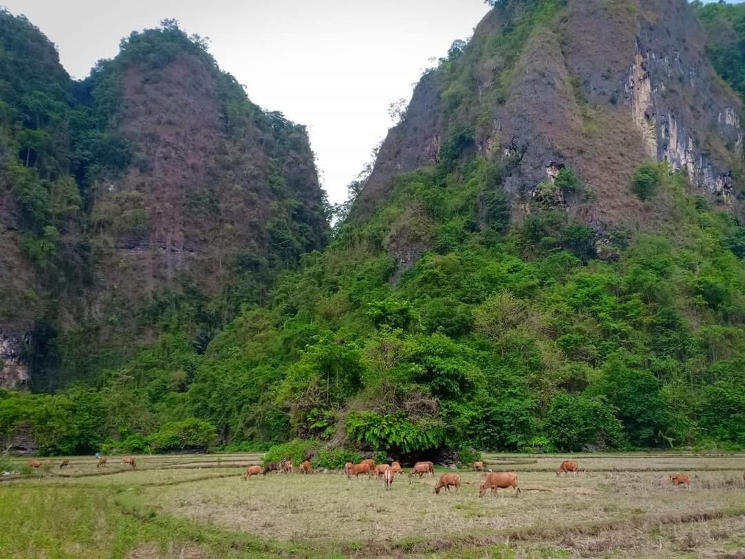 Гостьовий будинок Kampoeng Karst Rammang Rammang Kasijala Екстер'єр фото