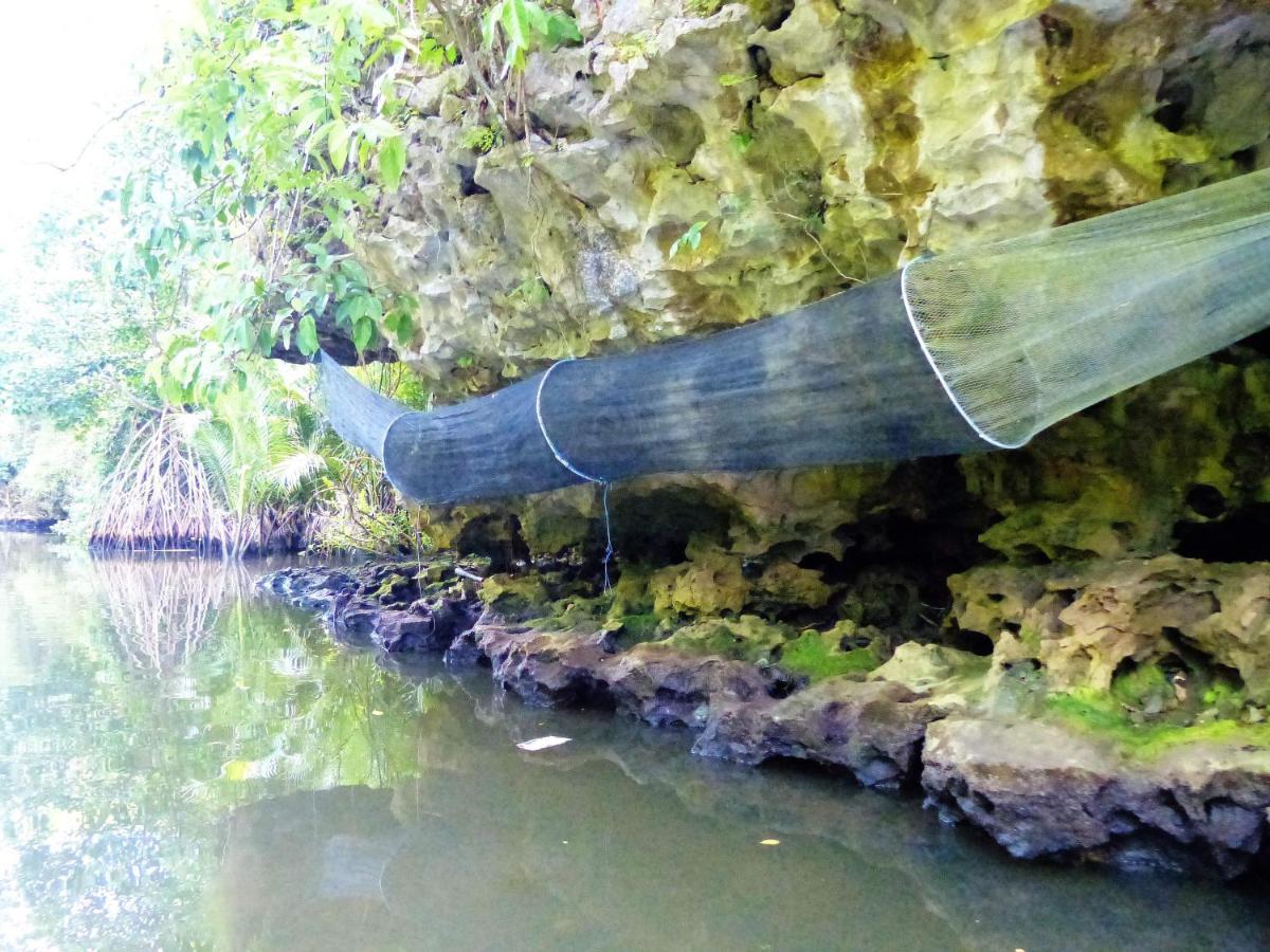 Гостьовий будинок Kampoeng Karst Rammang Rammang Kasijala Екстер'єр фото