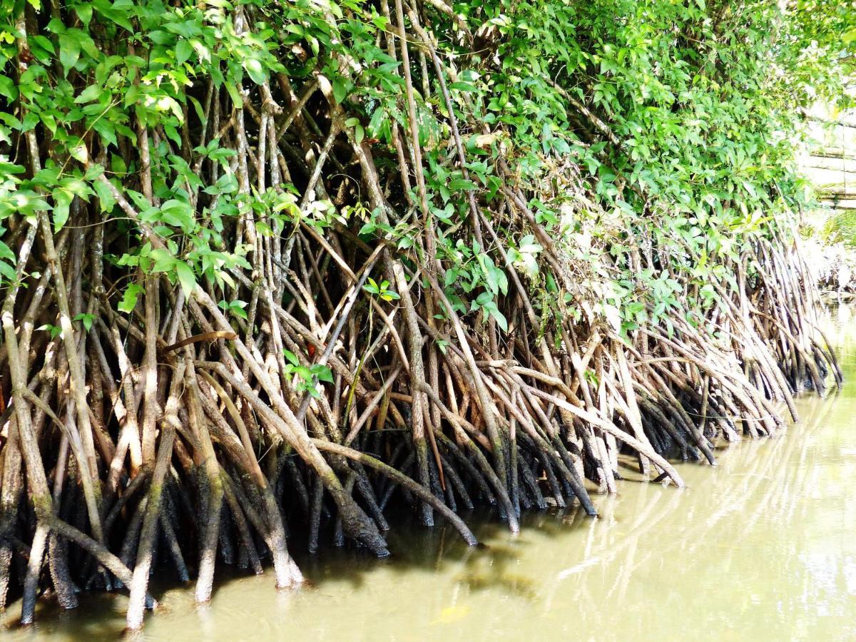 Гостьовий будинок Kampoeng Karst Rammang Rammang Kasijala Екстер'єр фото