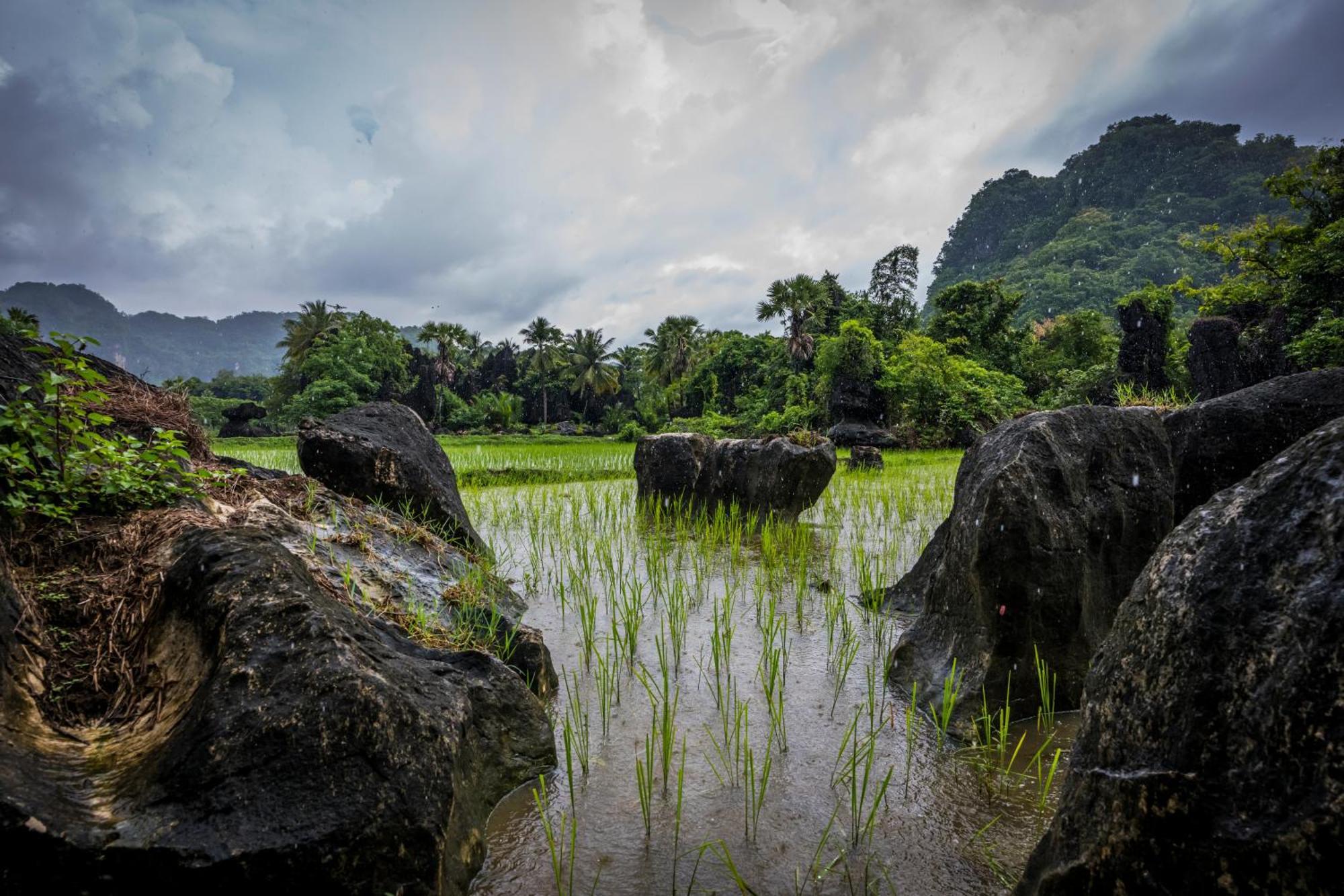 Гостьовий будинок Kampoeng Karst Rammang Rammang Kasijala Екстер'єр фото